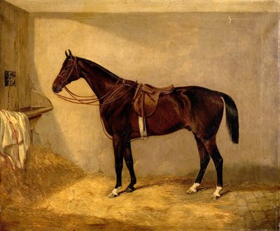 Portrait of the Horse, Which Belonged to Major Burton at the Balaclava Charge by Thomas W. Bretland